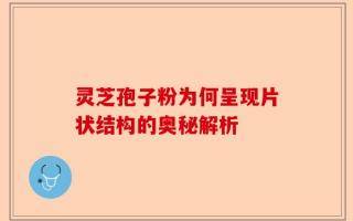 灵芝孢子粉为何呈现片状结构的奥秘解析