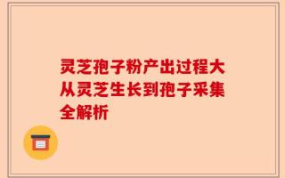 灵芝孢子粉产出过程大从灵芝生长到孢子采集全解析