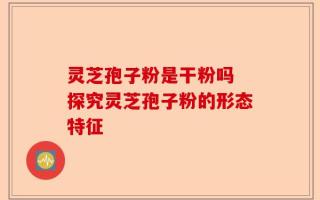 灵芝孢子粉是干粉吗 探究灵芝孢子粉的形态特征
