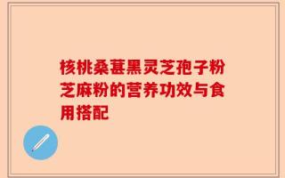 核桃桑葚黑灵芝孢子粉芝麻粉的营养功效与食用搭配