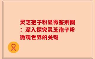 灵芝孢子粉显微鉴别图：深入探究灵芝孢子粉微观世界的关键