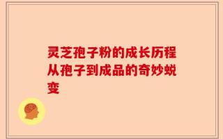 灵芝孢子粉的成长历程从孢子到成品的奇妙蜕变