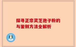 探寻正宗灵芝孢子粉的与鉴别方法全解析