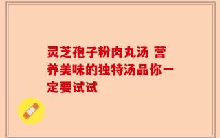 灵芝孢子粉肉丸汤 营养美味的独特汤品你一定要试试