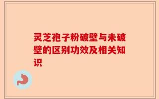 灵芝孢子粉破壁与未破壁的区别功效及相关知识