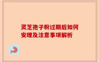 灵芝孢子粉过期后如何安理及注意事项解析
