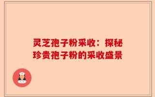 灵芝孢子粉采收：探秘珍贵孢子粉的采收盛景