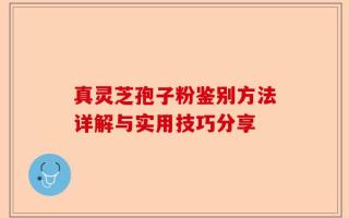 真灵芝孢子粉鉴别方法详解与实用技巧分享