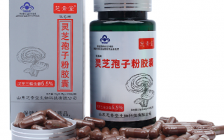 灵芝孢子粉如何服用效果好?要避免哪些? 灵芝孢子粉如何服用效果好?要避免哪些?