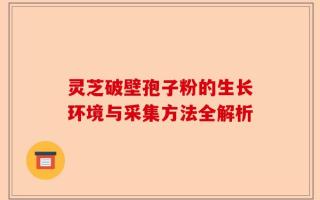 灵芝破壁孢子粉的生长环境与采集方法全解析