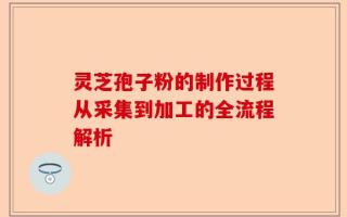 灵芝孢子粉的制作过程从采集到加工的全流程解析