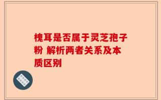 槐耳是否属于灵芝孢子粉 解析两者关系及本质区别