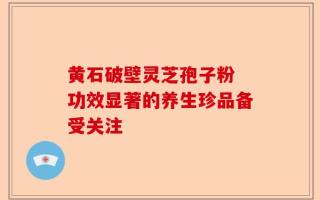 黄石破壁灵芝孢子粉 功效显著的养生珍品备受关注