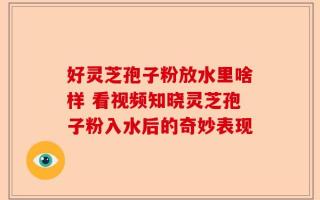 好灵芝孢子粉放水里啥样 看视频知晓灵芝孢子粉入水后的奇妙表现
