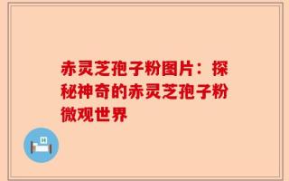 赤灵芝孢子粉图片：探秘神奇的赤灵芝孢子粉微观世界