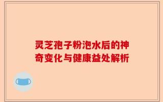 灵芝孢子粉泡水后的神奇变化与健康益处解析