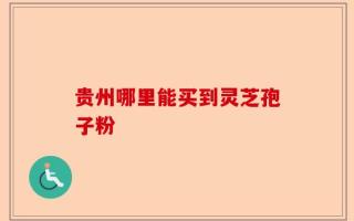 贵州哪里能买到灵芝孢子粉