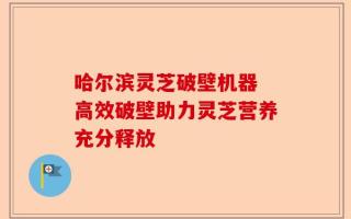 哈尔滨灵芝破壁机器 高效破壁助力灵芝营养充分释放