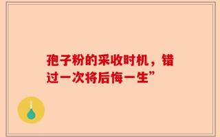 孢子粉的采收时机，错过一次将后悔一生”