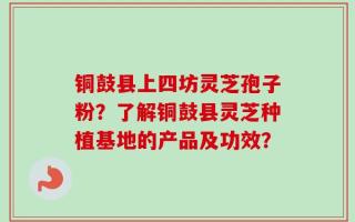 铜鼓县上四坊灵芝孢子粉？了解铜鼓县灵芝种植基地的产品及功效？