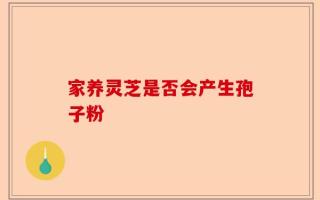 家养灵芝是否会产生孢子粉