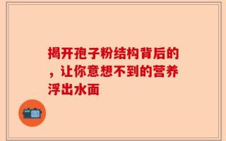 揭开孢子粉结构背后的，让你意想不到的营养浮出水面
