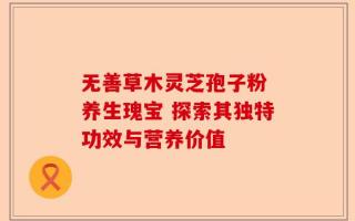 无善草木灵芝孢子粉 养生瑰宝 探索其独特功效与营养价值
