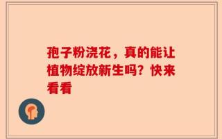 孢子粉浇花，真的能让植物绽放新生吗？快来看看