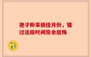 孢子粉采摘佳月份，错过这段时间你会后悔