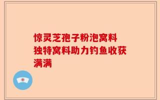 惊灵芝孢子粉泡窝料 独特窝料助力钓鱼收获满满