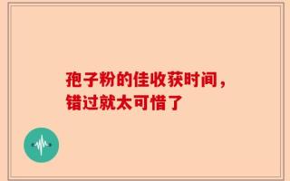孢子粉的佳收获时间，错过就太可惜了