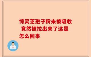 惊灵芝孢子粉未被吸收 竟然被拉出来了这是怎么回事