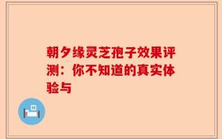 朝夕缘灵芝孢子效果评测：你不知道的真实体验与