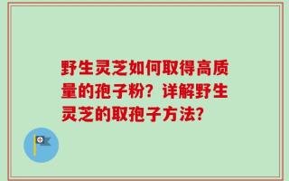 野生灵芝如何取得高质量的孢子粉？详解野生灵芝的取孢子方法？