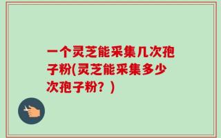 一个灵芝能采集几次孢子粉(灵芝能采集多少次孢子粉？)