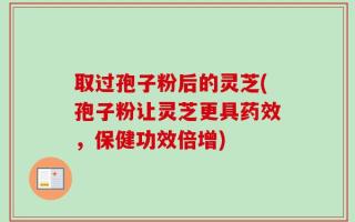 取过孢子粉后的灵芝(孢子粉让灵芝更具药效，保健功效倍增)