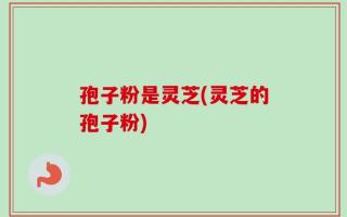 孢子粉是灵芝(灵芝的孢子粉)