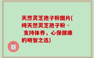 天然灵芝孢子粉图片(纯天然灵芝孢子粉 - 支持体养，心保健康的明智之选)