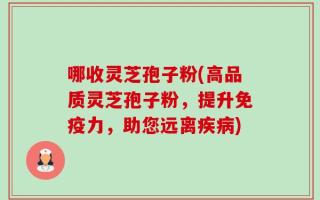 哪收灵芝孢子粉(高品质灵芝孢子粉，提升免疫力，助您远离疾病)