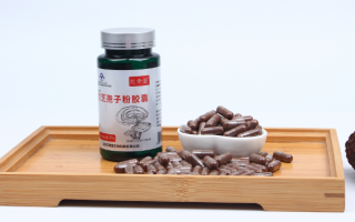 灵芝孢子粉不破壁能吃么?对效果有哪些影响? 灵芝孢子粉不破壁能吃么?对效果有哪些影响?