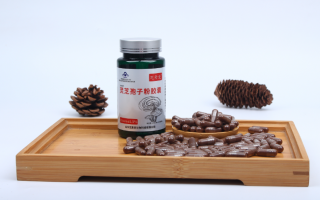 破壁灵芝孢子粉难吃吗?听说越苦的才越好? 破壁灵芝孢子粉难吃吗?听说越苦的才越好?