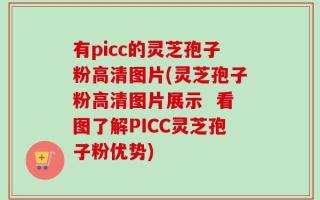 有picc的灵芝孢子粉高清图片(灵芝孢子粉高清图片展示  看图了解PICC灵芝孢子粉优势)