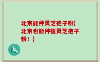 北京能种灵芝孢子粉(北京也能种植灵芝孢子粉！)
