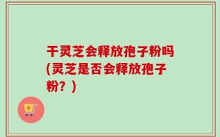 干灵芝会释放孢子粉吗(灵芝是否会释放孢子粉？)
