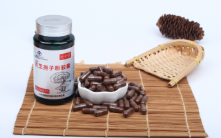 灵芝孢子粉的好处和坏处都有哪些? 灵芝孢子粉的好处和坏处都有哪些?