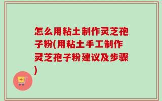 怎么用粘土制作灵芝孢子粉(用粘土手工制作灵芝孢子粉建议及步骤)