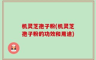 机灵芝孢子粉(机灵芝孢子粉的功效和用途)