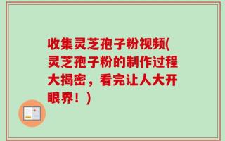 收集灵芝孢子粉视频(灵芝孢子粉的制作过程大揭密，看完让人大开眼界！)