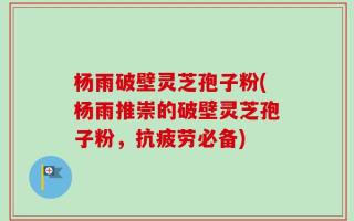 杨雨破壁灵芝孢子粉(杨雨推崇的破壁灵芝孢子粉，抗疲劳必备)