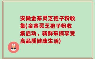 安徽金寨灵芝孢子粉收集(金寨灵芝孢子粉收集启动，新鲜采摘享受高品质健康生活)